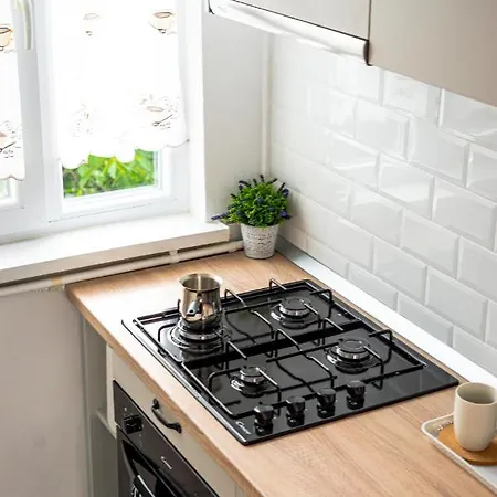 And Modern With Free Parking Διαμέρισμα Τιμισοάρα