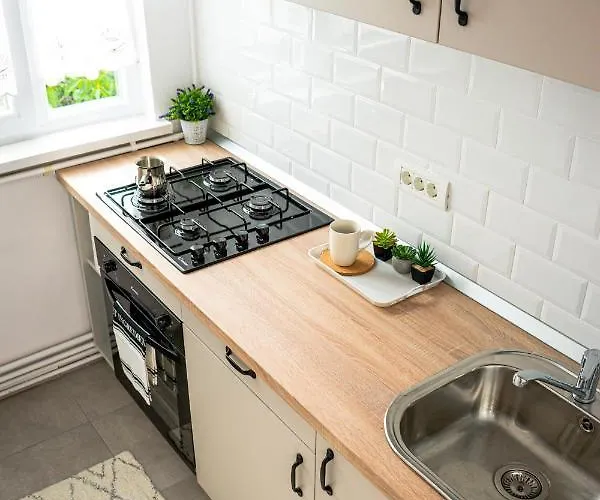 And Modern With Free Parking 公寓 蒂米什瓦拉