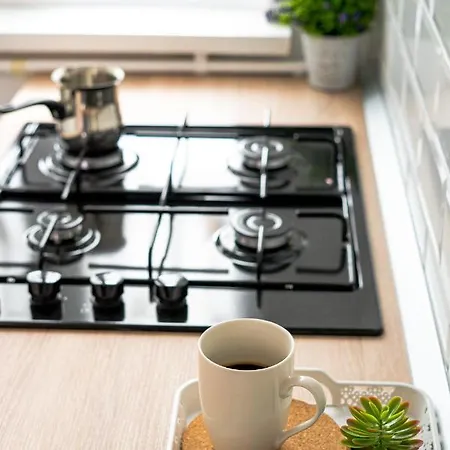 Appartement And Modern With Free Parking