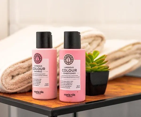 And Modern With Free Parking Timişoara