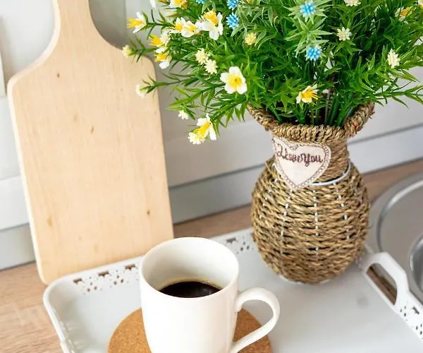 Appartement And Modern With Free Parking *